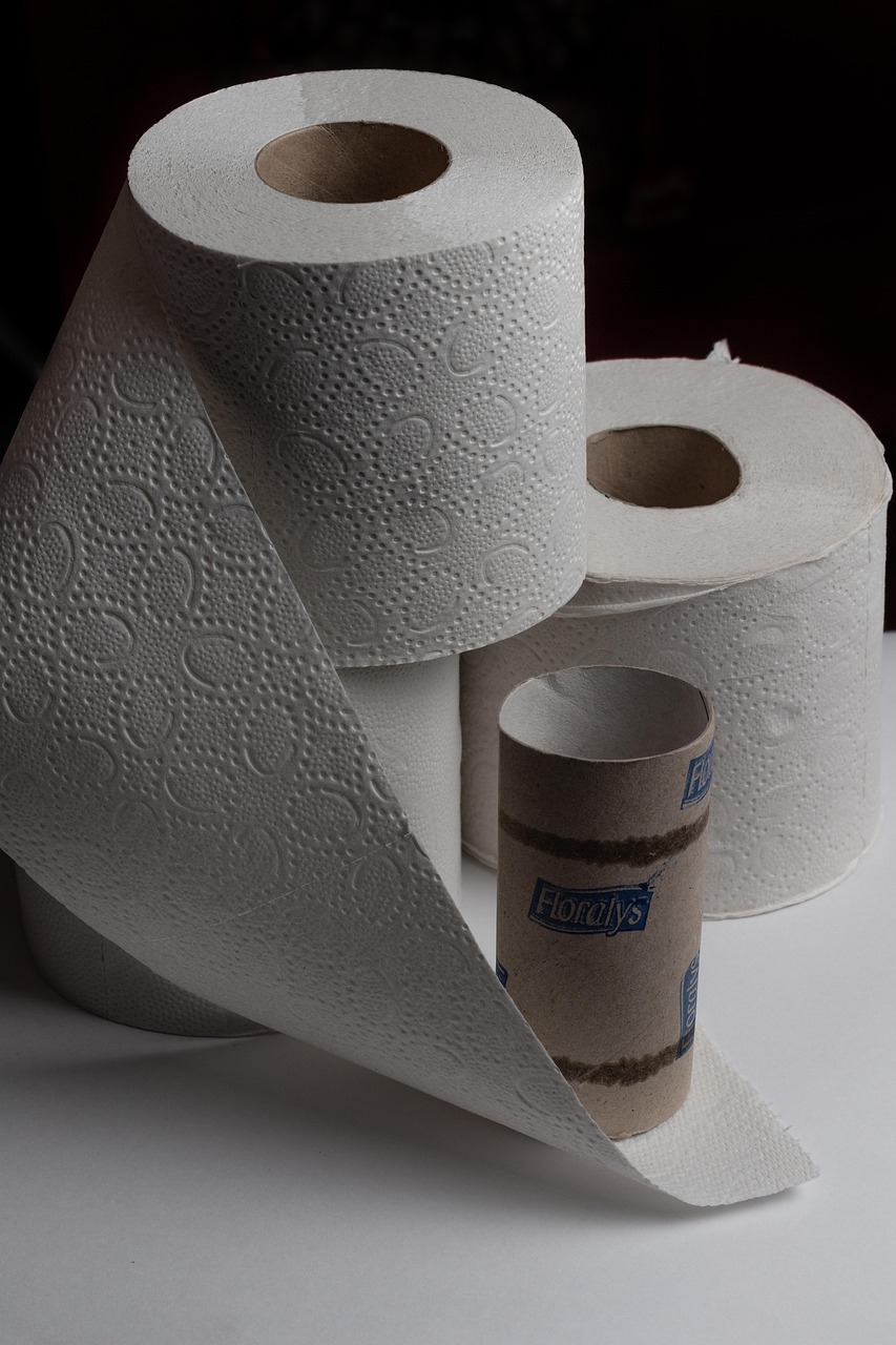 toilet paper, toilet, hygiene, role, paper, loo, wc, corona, hamster purchases, virus, paper roll, empty, sanitary, leaf, wall, roll, fear, schreck, coronavirus, pastime, meeting, nature, bathroom
